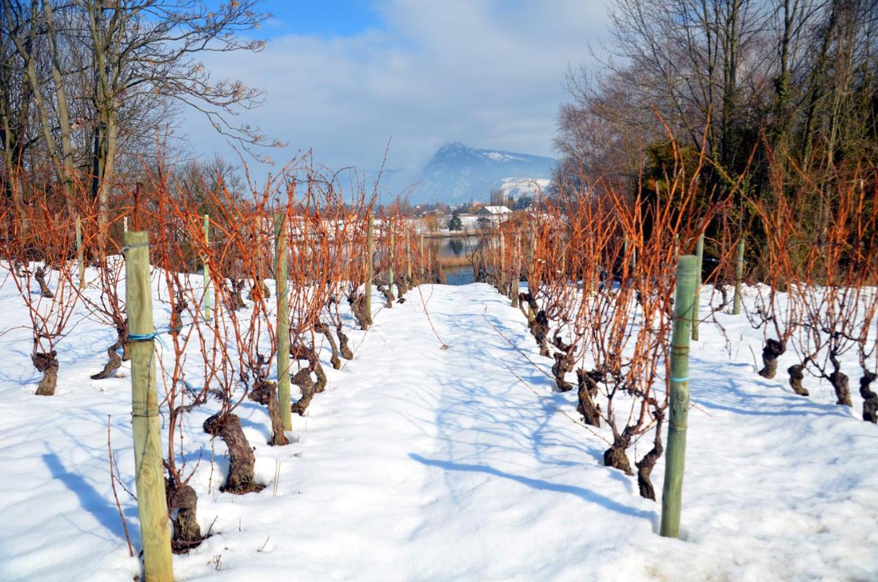 Adal-Berht Saint-Maximin (Isere) Exterior foto