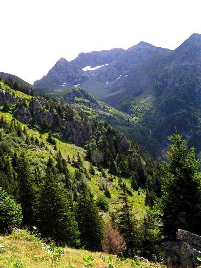 Adal-Berht Saint-Maximin (Isere) Exterior foto