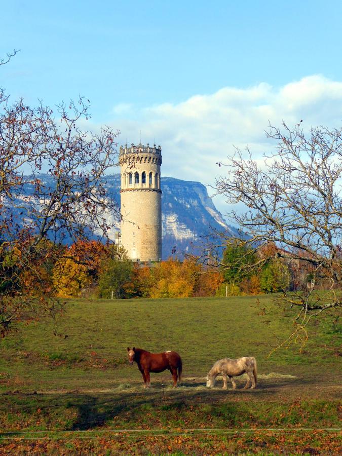 Adal-Berht Saint-Maximin (Isere) Exterior foto