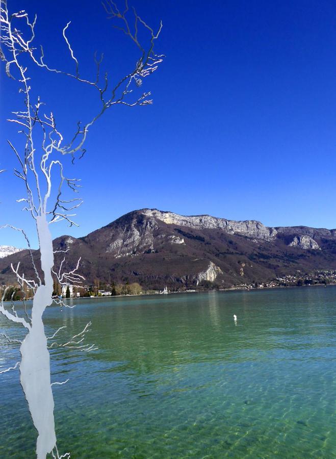 Adal-Berht Saint-Maximin (Isere) Exterior foto
